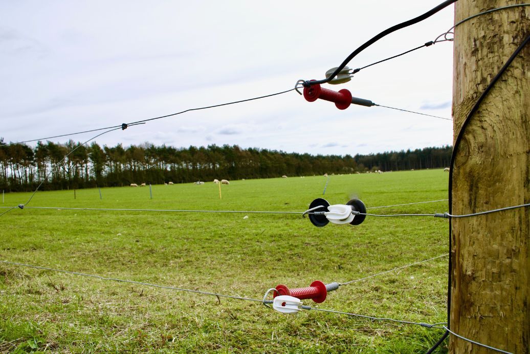 Qu'est-ce qu'une clôture électrique ?