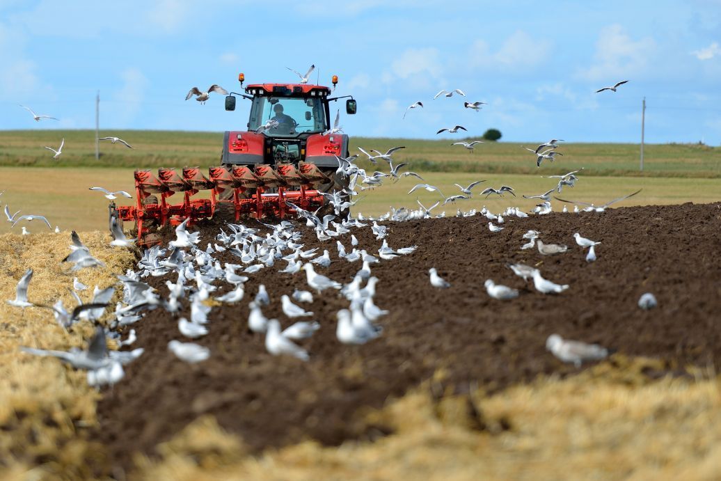 Comment choisir sa charrue ? 