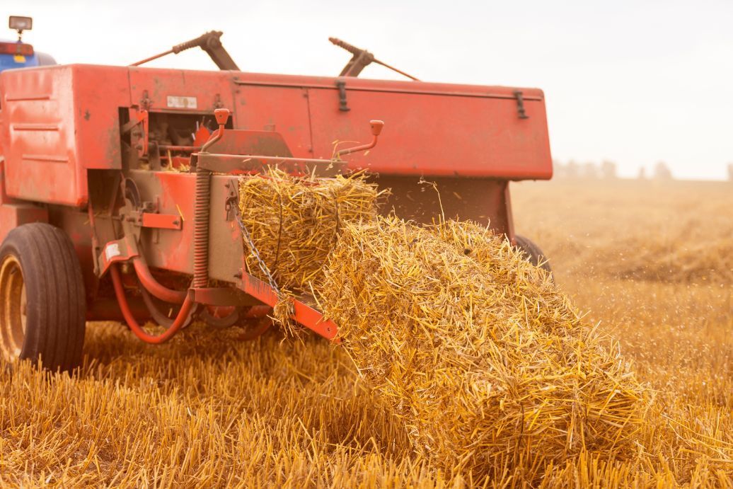 presse moyenne densité
