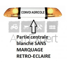 Partie centrale blanche rampe (ng)