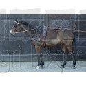 Harnais synthétique simple pour chevaux PFIFF 101297