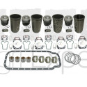 Kit révision moteur MWM D226-B4 coussinet, chemise, piston, joint, Tracteur Case, Renault, Fendt 6005010053, 6005011046