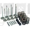 Kit soupapes 45° moteur Ford BSD438, BSD442, tracteur Ford 4830, 5000, 5030, 5100, 5110, 5600, 5610, 5900, 6600, 6700 tractopelle 655