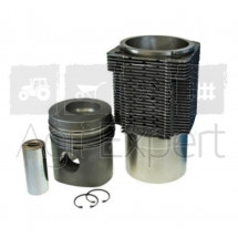 Chemise piston moteur Deutz FL913 piston 4 segments avec canal de refroidissement F3L913, F4L913, F6L913, F10L913