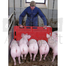Plaque à porc rouge 126 x 76 cm