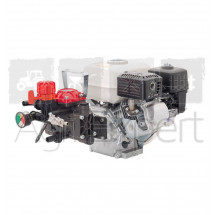 Pompe de pulvérisateur AR252 moteur Honda GP160 4T 4.8ch avec manomètre et régulateur de pression GR30 ( Annovi Reverberi )